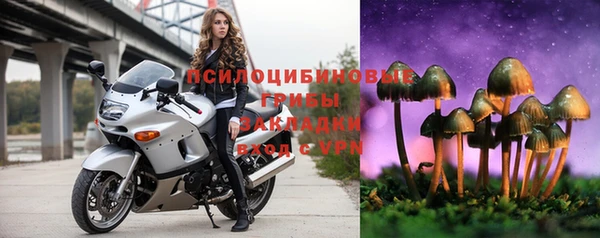 бутират Лагань