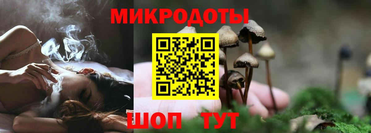 Галлюциногенные грибы мухоморы Электросталь